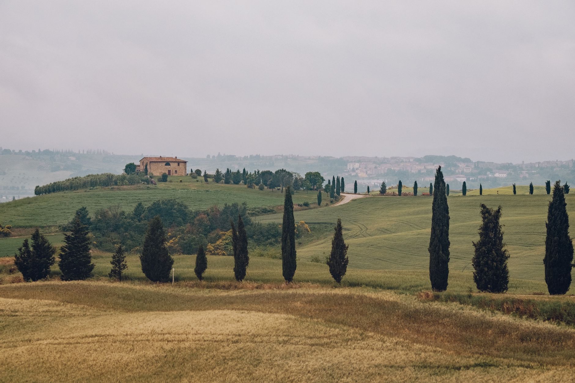 Tuscan hills and cypress trees